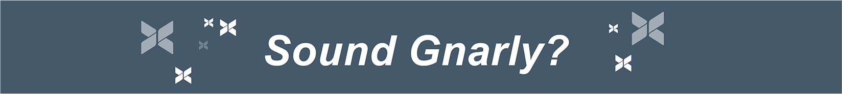 video-changed-it-all-sounds-gnarley-banner